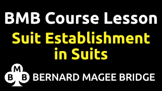 Lesson Suit Establishment Suits