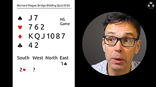 256a Bidding Quiz Still S