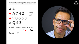 275a novice bidding quiz still s