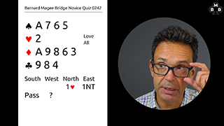 278a novice bidding quiz still s