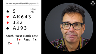 293a bidding quiz still s