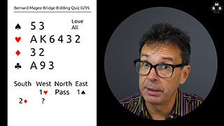 295a bidding quiz still s