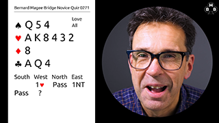 307A Novice Bidding Quiz STILL S
