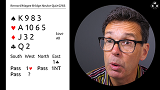319B Novice Bidding Quiz STILL S